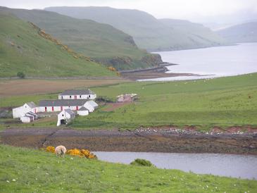 Isle of Skye near Dunvegan